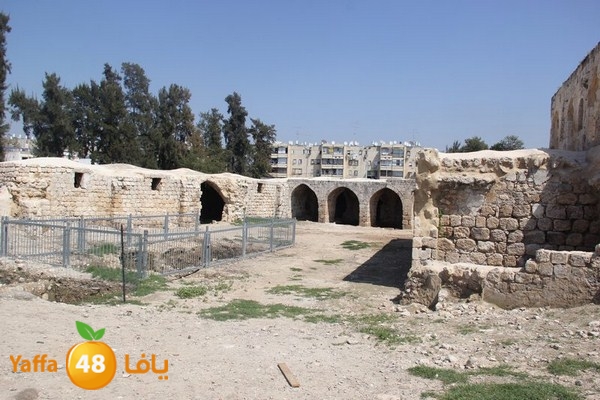 koudlud0322 (48).JPG